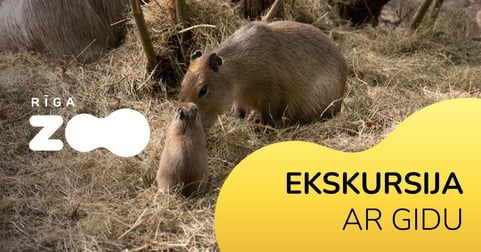 Rīga ZOO atvērtā ekskursija