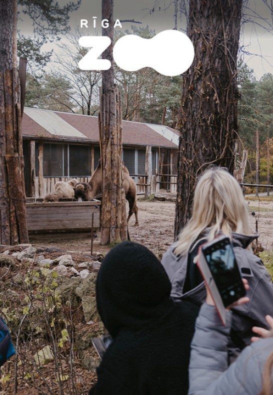 Atvērtā ekskursija Rīga ZOO slavenībām pa pēdām